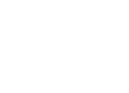 The British Institute Award Winner